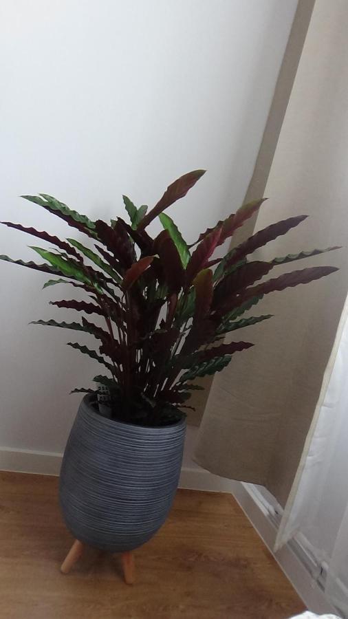 Apartament Na Jeziornej Kartuzy Extérieur photo